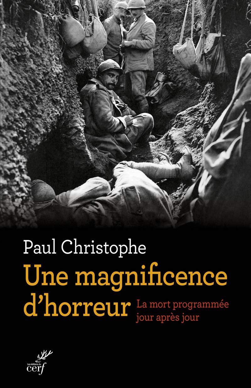 Une magnificence d'horreur : 1915-1916-1917 : la mort programmée jour après jour