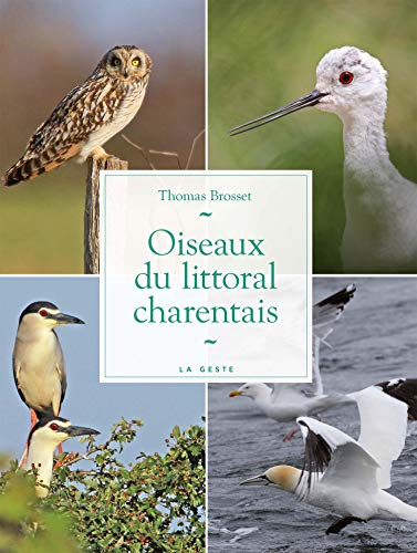 Oiseaux du littoral charentais