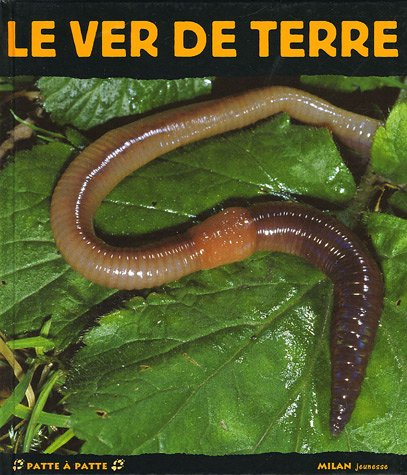 Le ver de terre : ami du jardinier
