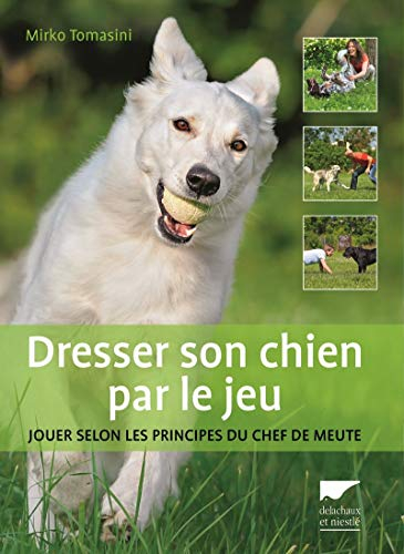 Dresser son chien par le jeu : jouer selon les principes du chef de meute