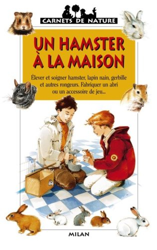 Un hamster à la maison