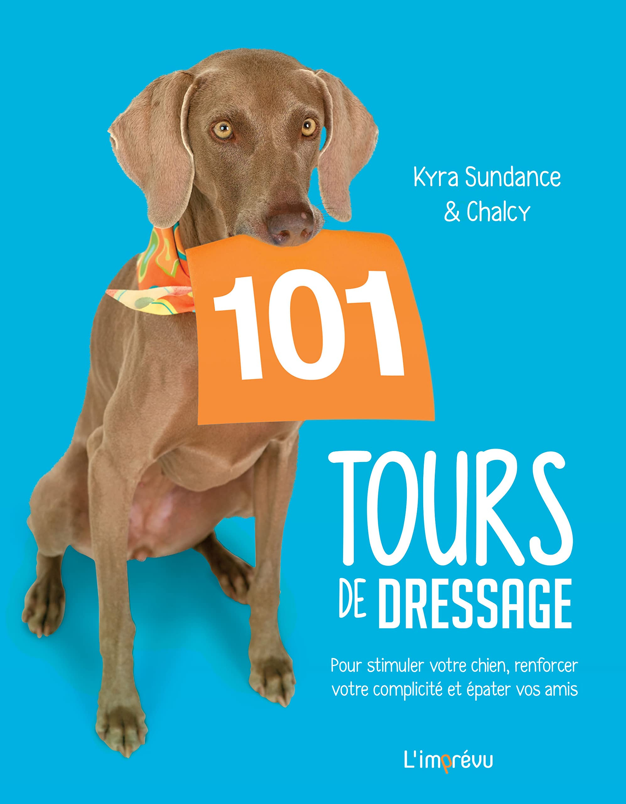 101 tours de dressage : pour stimuler votre chien, renforcer votre complicité et épater vos amis