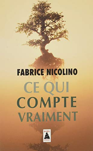 Ce qui compte vraiment : essai