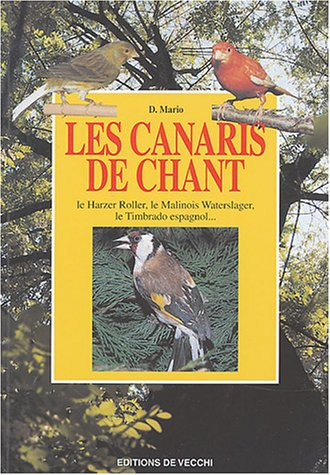 Les canaris de chant