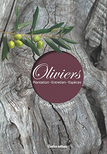 Oliviers : plantation, entretien, espèces