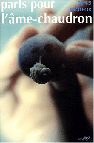 Parts pour l'âme-chaudron