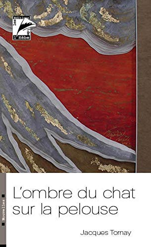 L'ombre du chat sur la pelouse