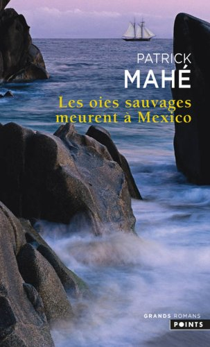 Les oies sauvages meurent à Mexico