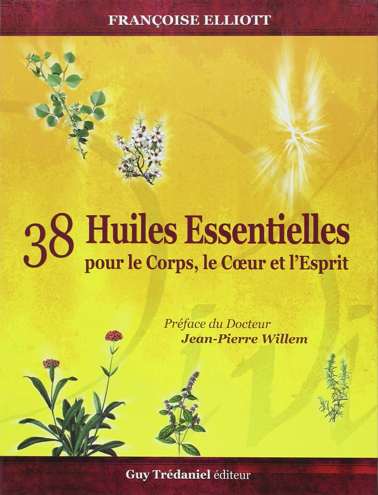 38 huiles essentielles : pour le corps, le coeur et l'esprit