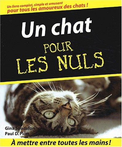 Un chat pour les nuls