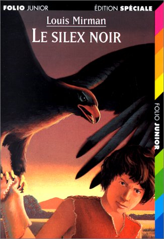 Le silex noir