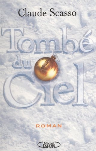 Tombé du ciel : roman