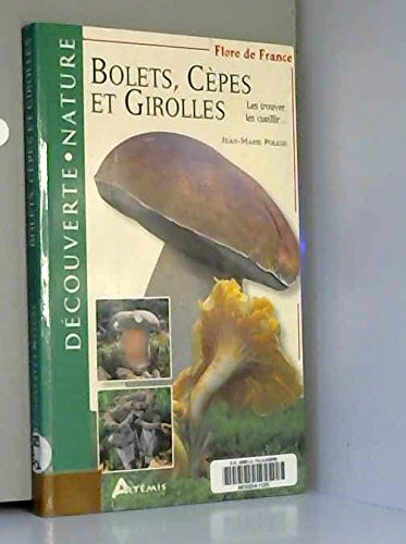 Cèpes et girolles