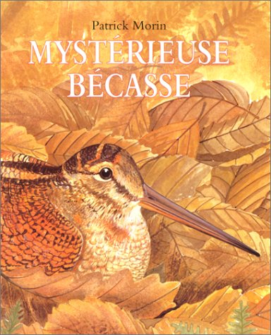 Mystérieuse bécasse