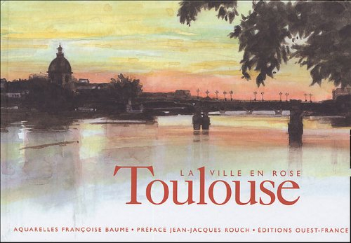 Toulouse : la ville en rose