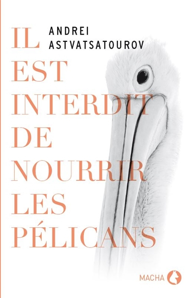 Il est interdit de nourrir les pélicans