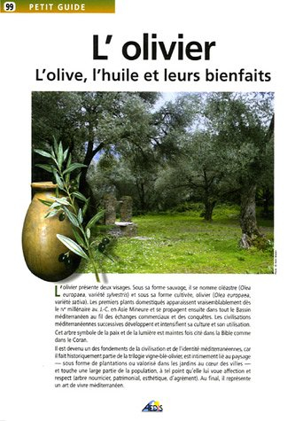 L'olivier : l'olive, l'huile et leurs bienfaits