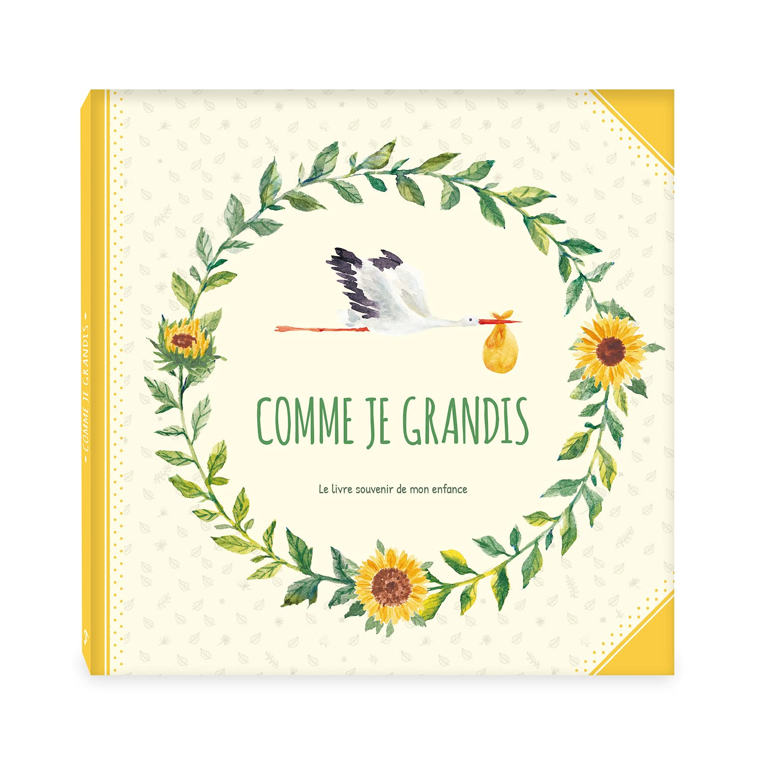 Comme je grandis : le livre souvenir de mon enfance