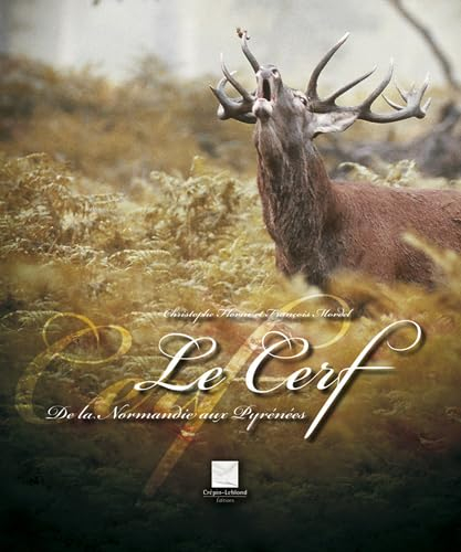 Le cerf : de la Normandie aux Pyrénées