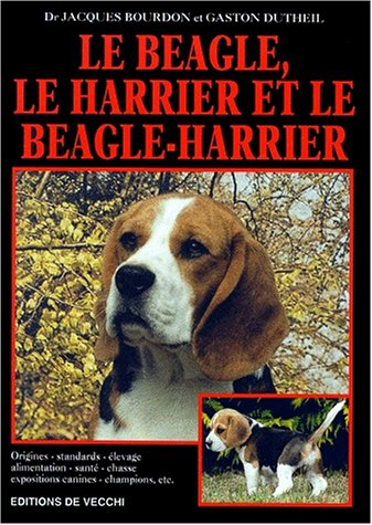 Le beagle, le harrier et le beagle-harrier