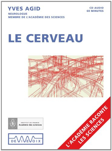 Le cerveau
