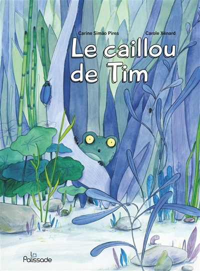 Le caillou de Tim