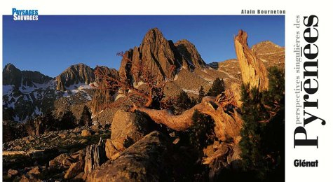 Perspectives singulières des Pyrénées