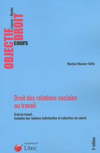 Droit des relations sociales au travail : droit du travail, évolution des relations individuelles et