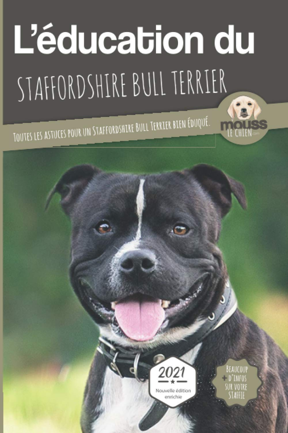 L'éducation du staffordshire bull terrier : toutes les astuces pour un staffordshire bull terrier bi