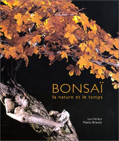 Bonsaï : la nature et le temps