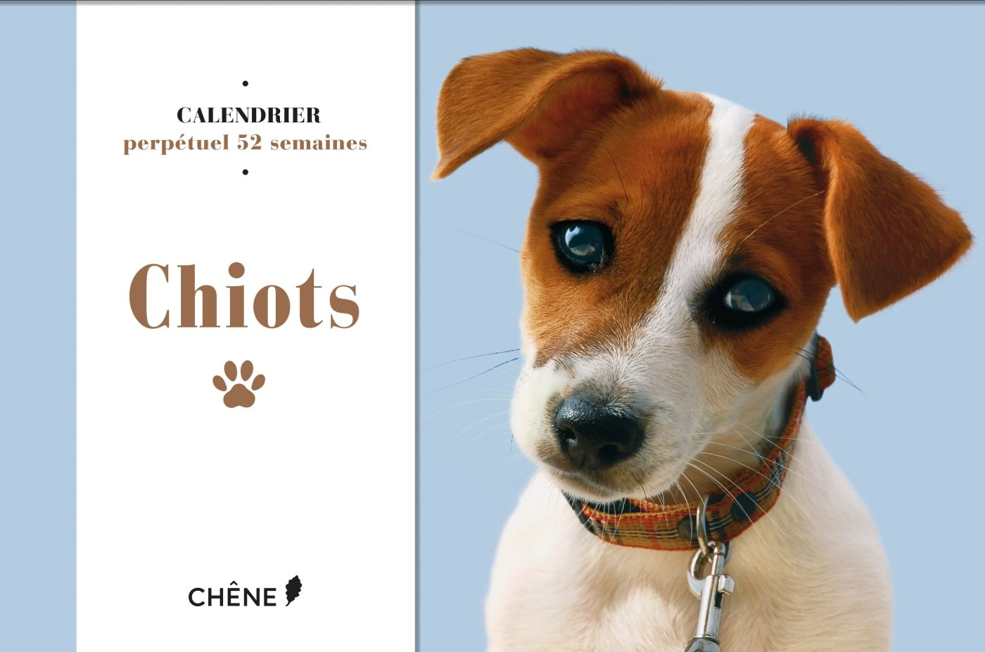 Chiots : calendrier perpétuel 52 semaines