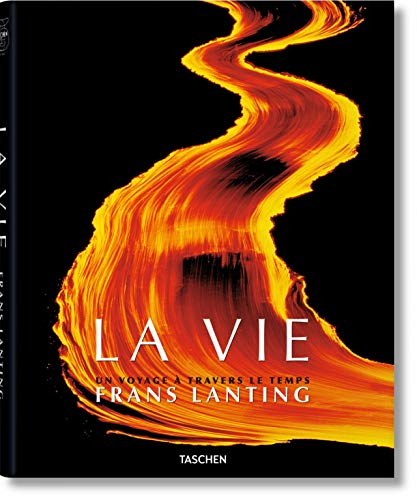 La vie : un voyage à travers le temps