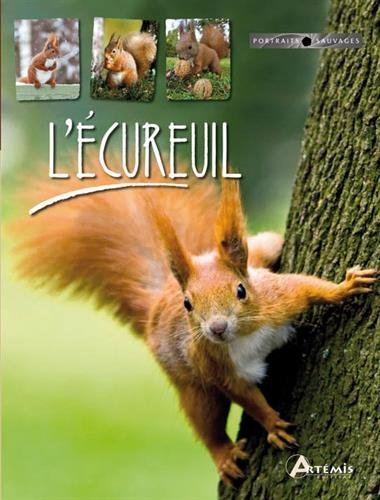 L'écureuil