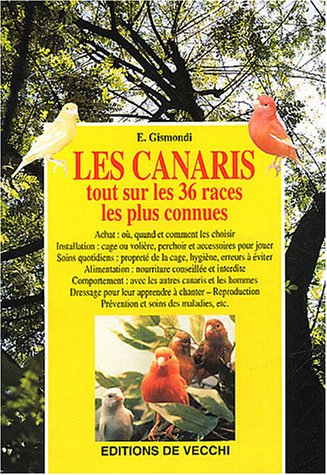 les canaris : tout sur les 36 races les plus connues