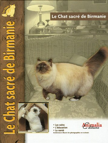 Le chat sacré de Birmanie