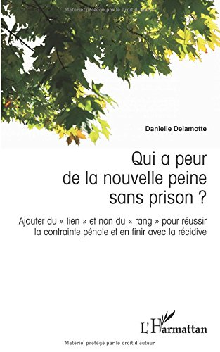Qui a peur de la nouvelle peine sans prison ? : ajouter du lien et non du rang pour réussir la contr