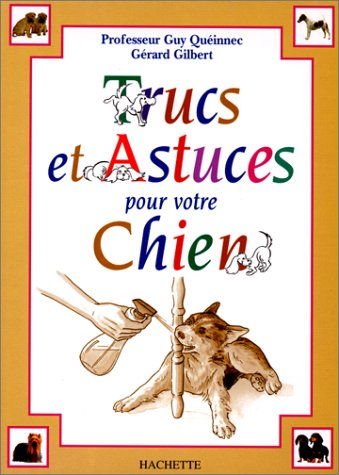 Trucs et astuces pour comprendre votre chien