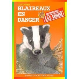 Blaireaux en danger