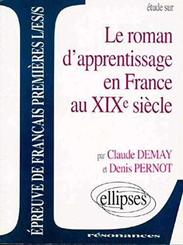 le roman d'apprentissage en france au xixe siècle