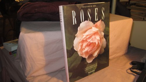 Splendeur des roses