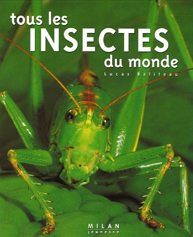 Tous les insectes du monde