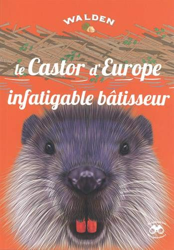 Le castor d'Europe : infatigable bâtisseur