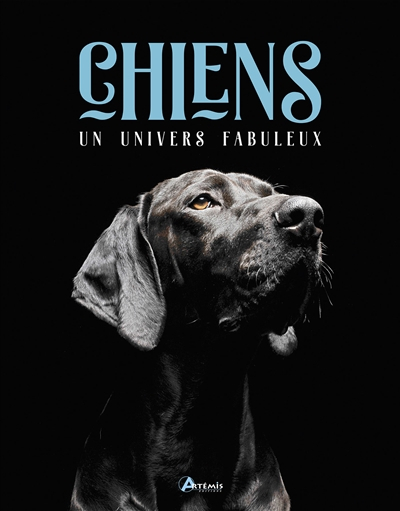 Chiens : un univers fabuleux