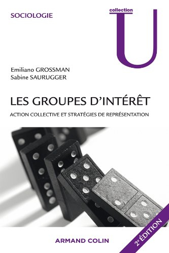 Les groupes d'intérêt : action collective et stratégies de représentation