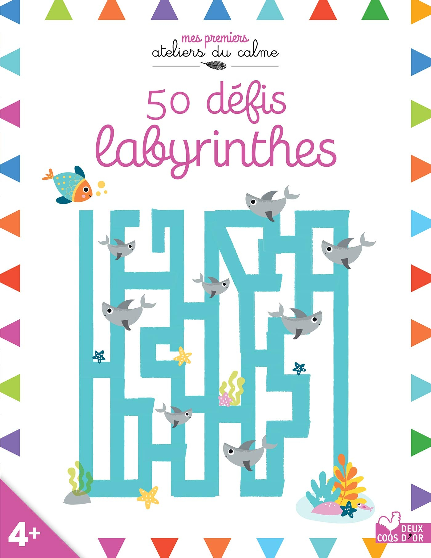50 défis labyrinthes