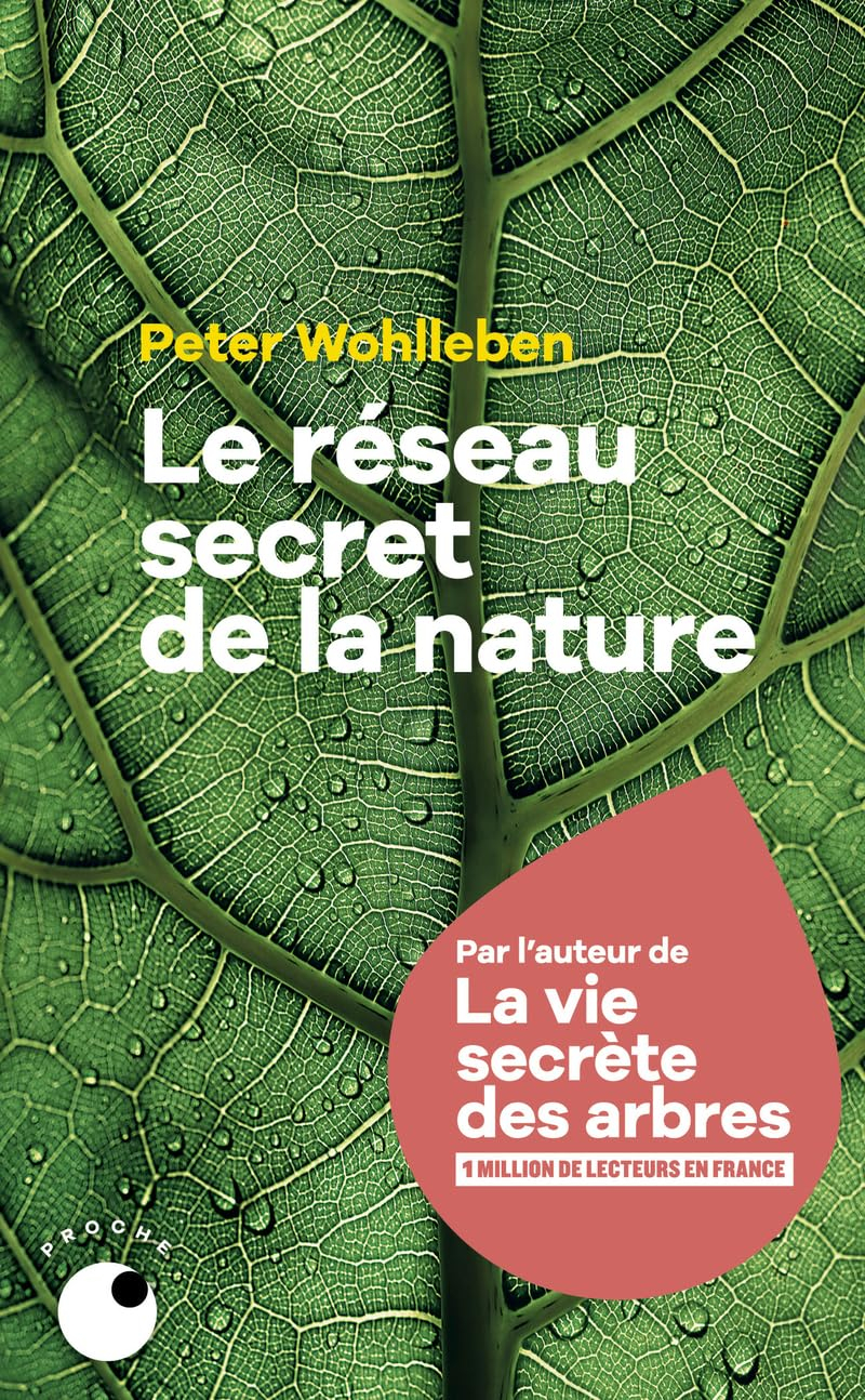 Le réseau secret de la nature : de l'influence des arbres sur les nuages et du ver de terre sur le s