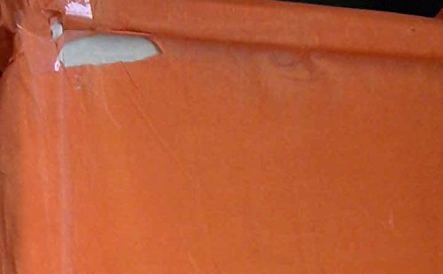 L'odeur sucrée des magnolias