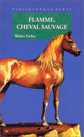 flamme, cheval sauvage