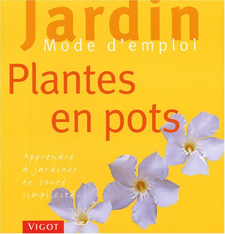 Plantes en pot : apprendre à jardiner en toute simplicité