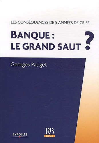Banque : le grand saut ? : les conséquences de 5 années de crise